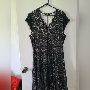 NWT H&M black lace dress